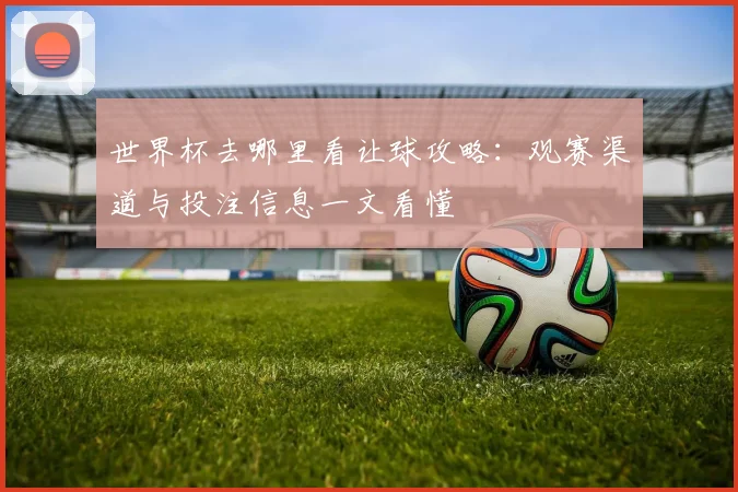 世界杯去哪里看让球攻略：观赛渠道与投注信息一文看懂
